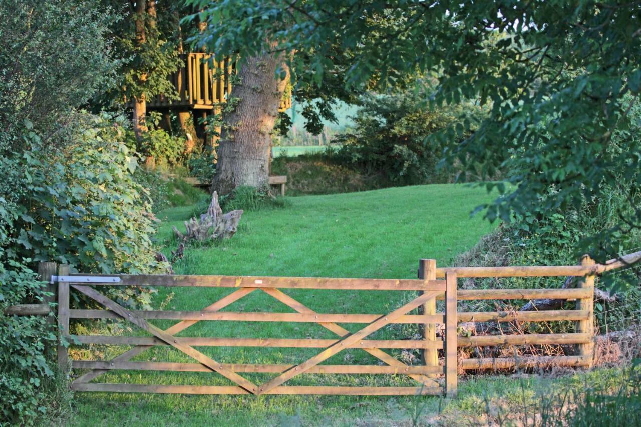 Lovaton Farmhouse Okehampton Eksteriør billede