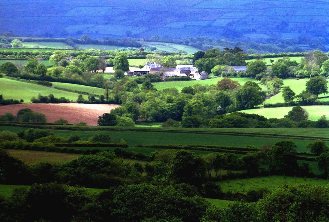 Lovaton Farmhouse Okehampton Eksteriør billede