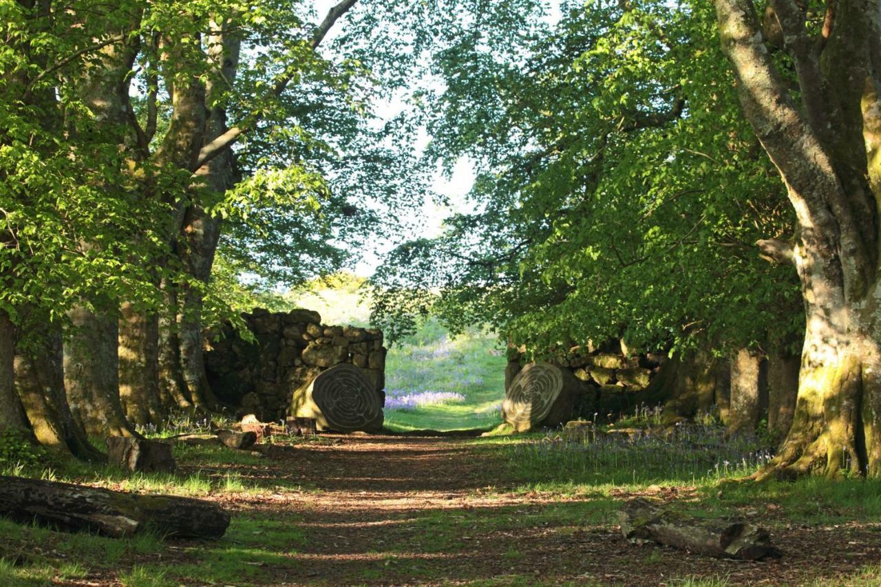 Lovaton Farmhouse Okehampton Eksteriør billede